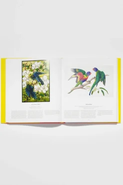Bird: Exploring The Winged World