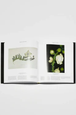Plant: Exploring The Botanical World